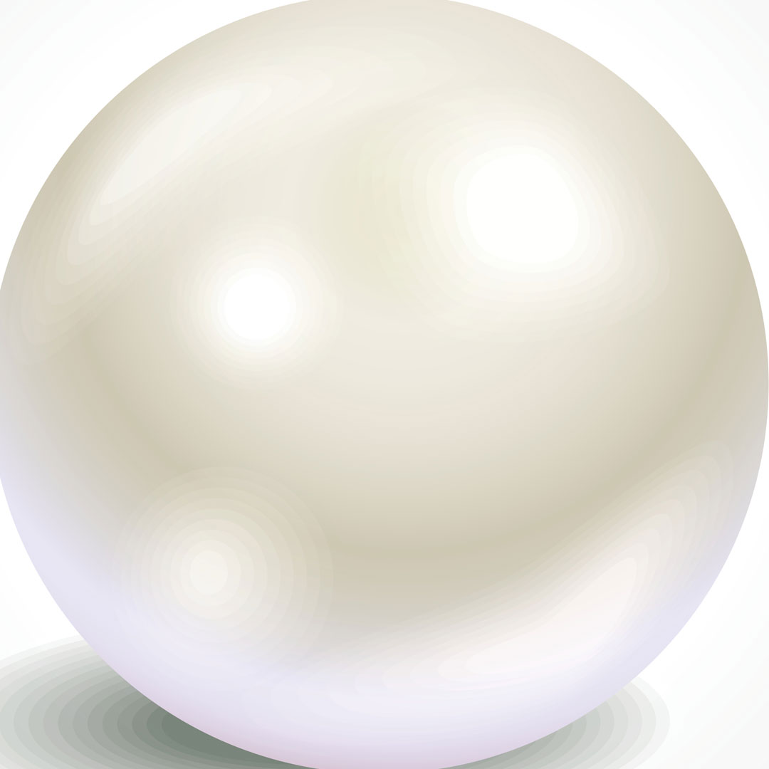 Shutterstock 1444981928