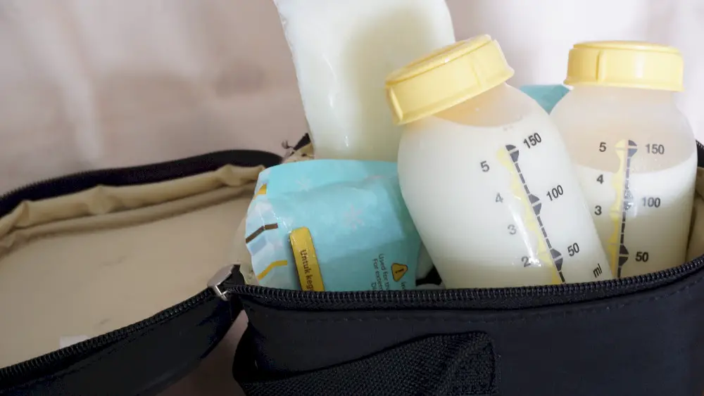 Insulated bag with breastmilk