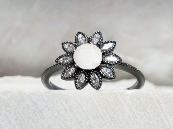Daisy - Image 8
