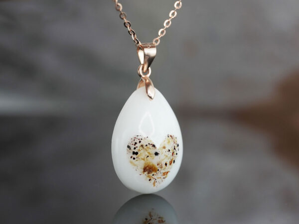 Placenta and Umbilical Cord